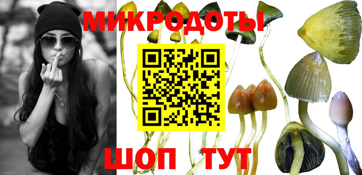 как найти закладки  Вход с VPN  Спасск-Дальний  Галлюциногенные грибы Psilocybe 